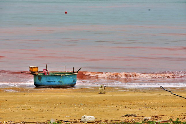 Vệt nước lạ có màu đỏ đục, rộng 50-100m, trải dài khoảng 3km. Tại các vị trí xuất hiện vệt nước có mùi hôi tanh khi sóng biển dạt vào.