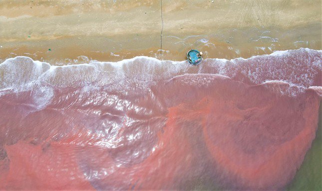 Nước biển ở Hà Tĩnh xuất hiện vệt đỏ lạ dài 3 km - 3