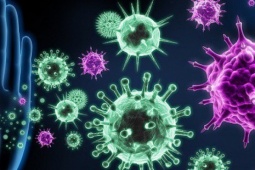 Các dấu hiệu cúm A/H5 ở người