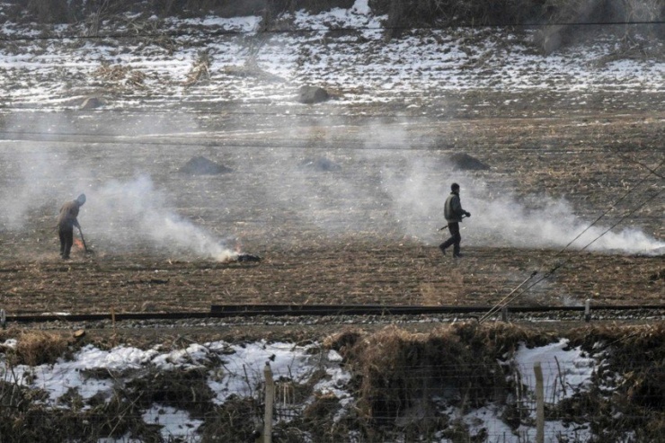Người dân Triều Tiên đốt đồng. Ảnh: AFP