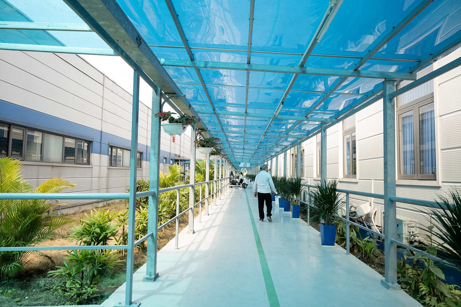 Tại đây, dọc các hành lang nối các khu vực điều trị đều được trồng cây xanh, đảm bảo mỹ quan cho bệnh viện.