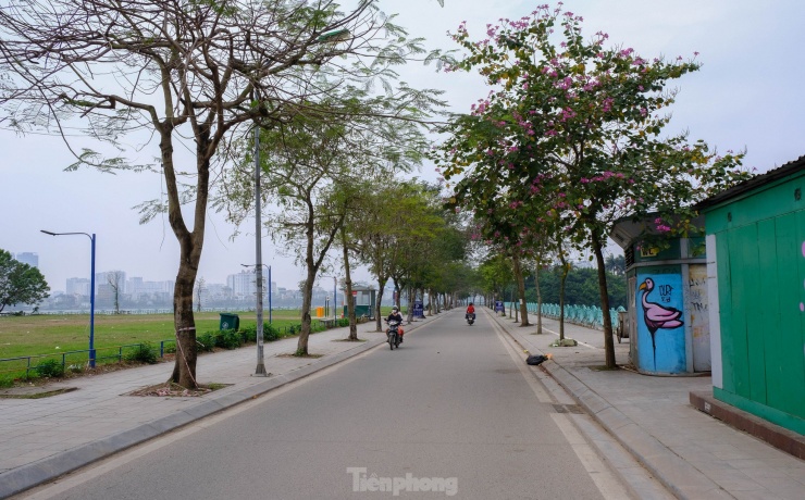 Cũng vì có không khí trong lành nên khu phố Quảng An tập trung nhiều du khách quốc tế, người dân đi dạo, đạp xe.