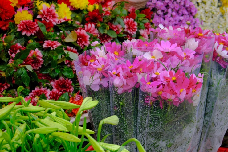 Tạp chí Time Out cũng nhắc tới chợ hoa Quảng An, cách khu phố cùng tên khoảng 1 km. Đây là nơi tập hợp hàng trăm loài hoa tươi, phân phối cho các tiểu thương trên địa bàn thành phố Hà Nội và một số tỉnh phía Bắc.