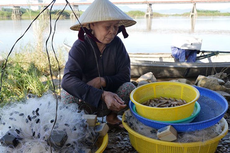 Người dân địa phương cho biết loại cá này &#34;nhỏ mà có võ&#34;, tuy kích thước bé nhưng thơm ngon hảo hạng.&nbsp;
