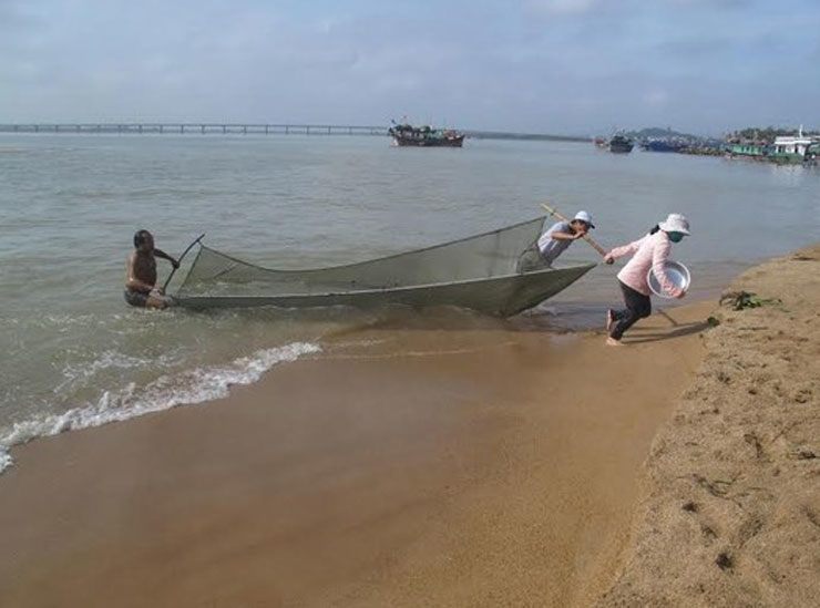 Cá không xuất hiện ở những nơi nước sâu, chảy xiết, mà chỉ dựa vào bờ, nước chảy êm để đi nên chỉ dùng tấm lưới đi ngược hướng đi của cá là vớt được cá.
