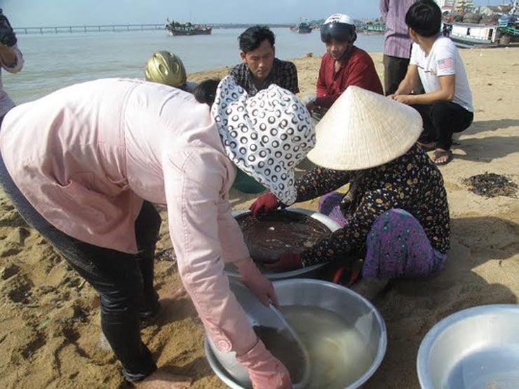 Ở Quãng Ngãi, cá thài bai có giá khoảng&nbsp;300 nghìn đồng/kg, thậm chí có thời điểm lên đến 500 nghìn đồng/kg. Tuy nhiên, dù giá cao nhưng việc tìm mua loại cá này cũng không dễ dàng.
