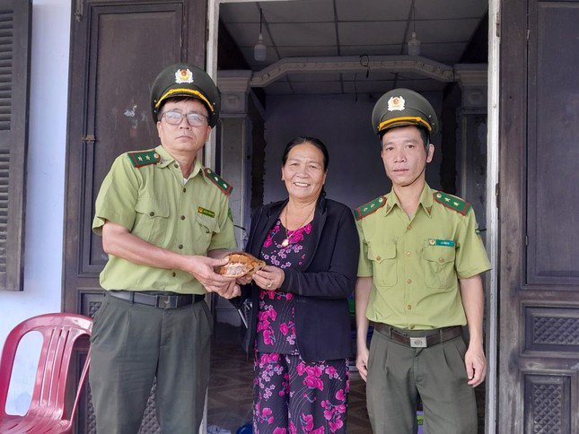 Người dân thị xã Hương Thủy (TT-Huế) giao nộp rùa hộp trán vàng miền Trung vào cuối năm 2023. Ảnh: CTV