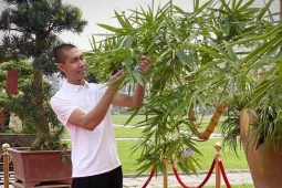 Khởi nghiệp từ loại cây có đầy ở nông thôn, 9x có thu nhập trên 40 triệu đồng/tháng