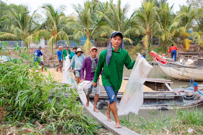 Nông dân xã Thạnh An, huyện Vĩnh Thạnh, TP Cần Thơ thu hoạch lúa vụ Đông Xuân. Ảnh:Thanh Trần