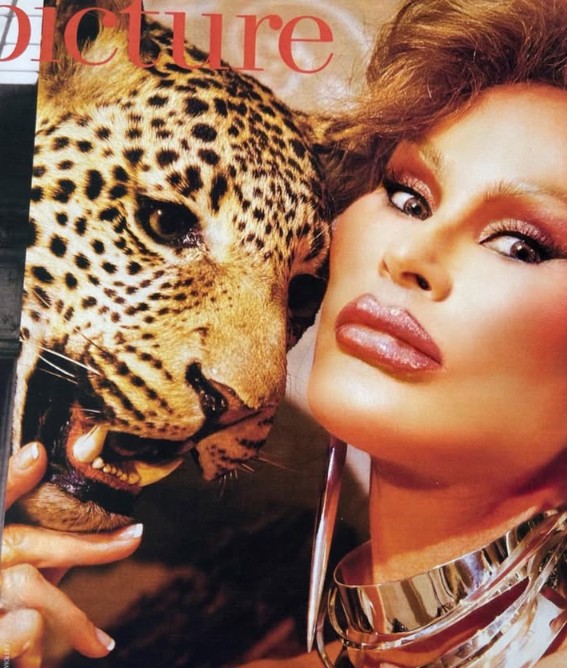 Jocelyn Wildenstein và chồng cũ đều là những người yêu thích vẻ đẹp của loài linh miêu.