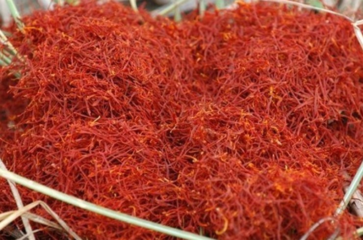 Iran hiện là quốc gia sản xuất nhiều saffron nhất thế giới với sản lượng chiếm khoảng 90% toàn cầu, tiếp đến là Ấn Độ, Tây Ban Nha, Thổ Nhĩ Kỳ, Ma Rốc…
