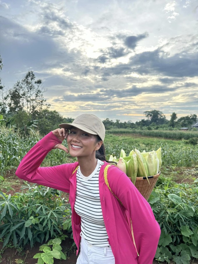 Top 5 Miss Universe 2018 hái ngô trên rẫy tại quê nhà Đắk Lắk.