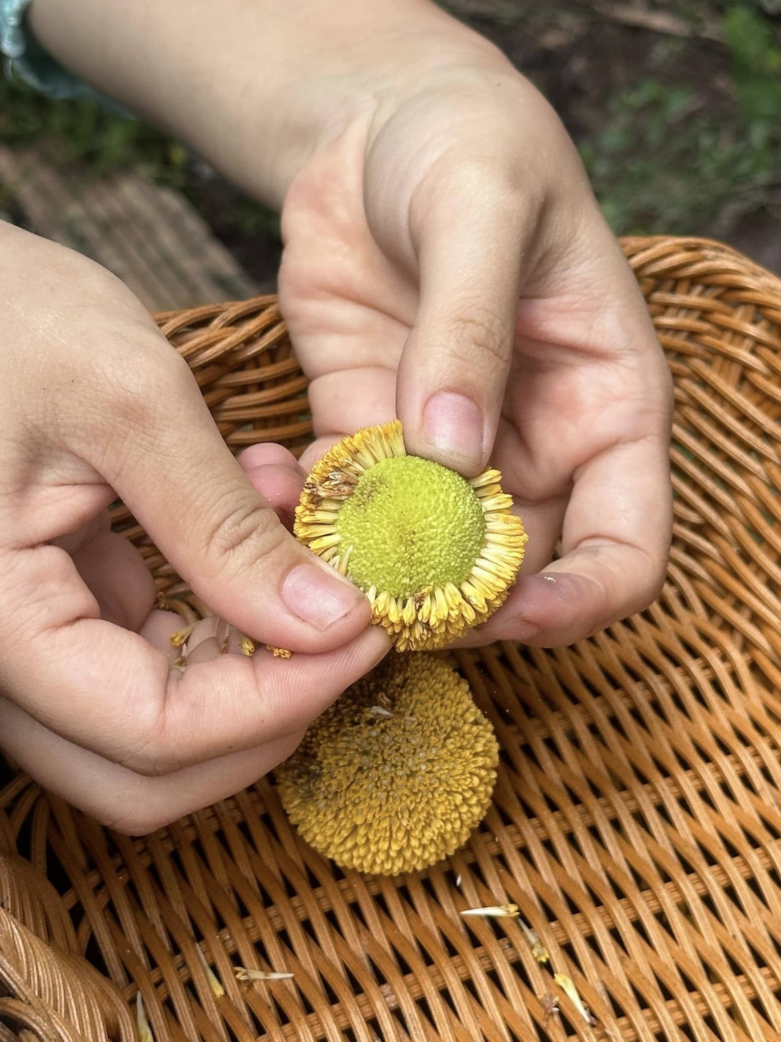 Đặc sản nghe tên dễ nhầm ở Ninh Bình, ăn vào mùa đông càng ngon - 3