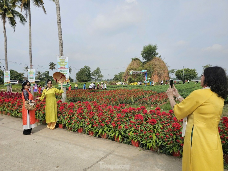 Lễ hội hoa – kiểng huyện Chợ Lách không chỉ sự kiện giao thương, mua bán sản phẩm hoa kiểng, cây giống, trái cây thuần tuý, còn để liên kết chặt chẽ chuỗi giá trị ngành hàng chủ lực của huyện, phát triển du lịch sinh thái, du lịch nông nghiệp. Ảnh: Hòa Hội