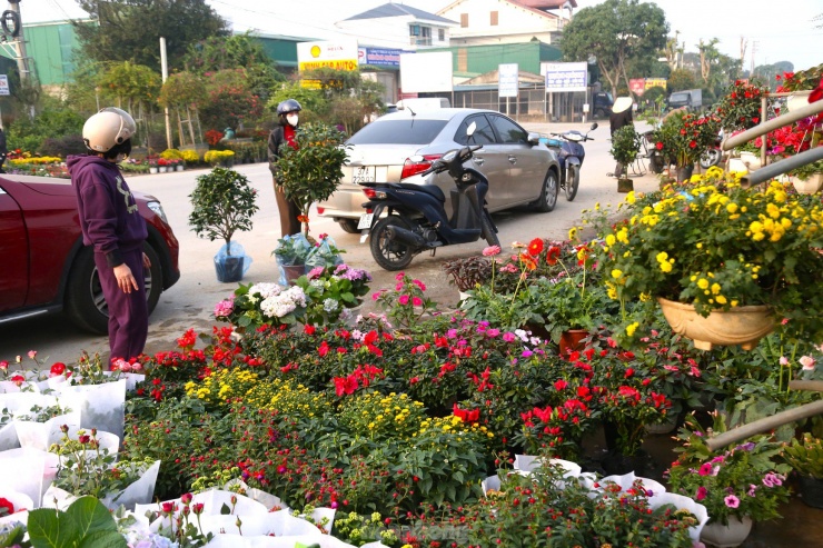 Ông Nguyễn Duy Thọ, Chủ tịch Hội Nông dân xã Nghi Ân cho biết: “Địa phương có 3 làng nghề hoa cây cảnh gồm Kim Phúc, Kim Mỹ và Kim Chi với khoảng 100 hộ làm nghề. Ngoài ra, nhiều hộ kết hợp trồng và kinh doanh hoa, cây cảnh. Nghề trồng hoa, cây cảnh mang lại thu nhập khá cho các hộ dân, đặc biệt là vào dịp Tết Nguyên đán”.