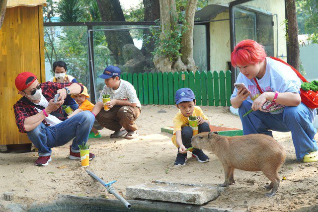 VIDEO: "Nựng" capybara ngoài đời thật tại Thảo Cầm Viên - 4