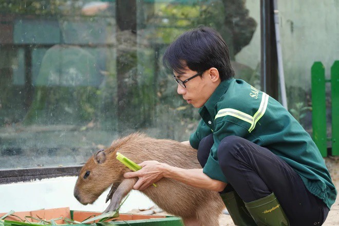 VIDEO: "Nựng" capybara ngoài đời thật tại Thảo Cầm Viên - 6