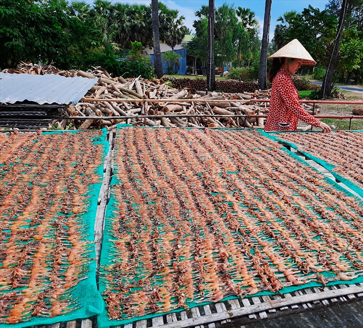 Lúc vào mùa, khô nhái có giá khoảng 350.000 đồng/kg, nhưng dịp Tết hàng khan hiếm, giá có thể lên tới 700.000 đồng/kg.
