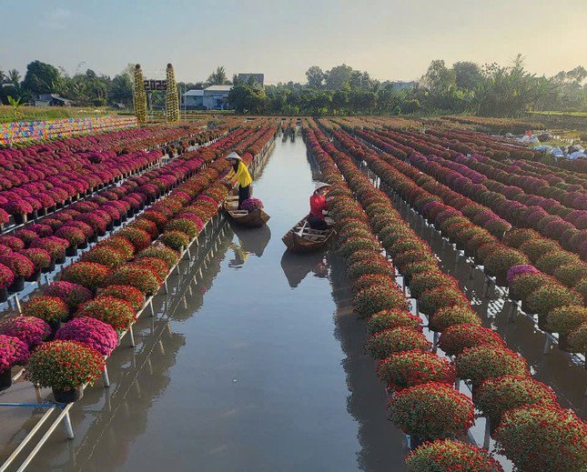 Thủ phủ hoa Sa Đéc khai hội xuân, đón Tết sớm - 5