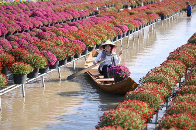Khách trải nghiệm bên vườn hoa Sa Đéc.