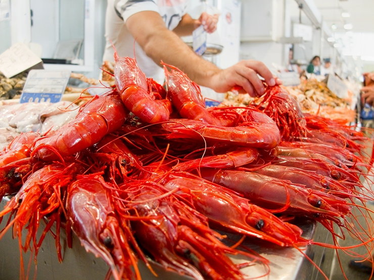 Ngoài tôm hùm, cua hoàng đế, bào ngư, tu hài... thị trường hải sản cao cấp Tết Ất Tỵ năm nay còn có sự xuất hiện của tôm quỷ đỏ khiến giới nhà giàu Việt đua nhau "săn lùng" mua về ăn thử.
