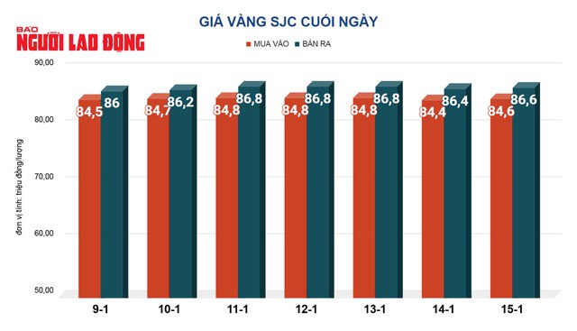 Giá vàng hôm nay, 16-1: Tăng rất mạnh - 2