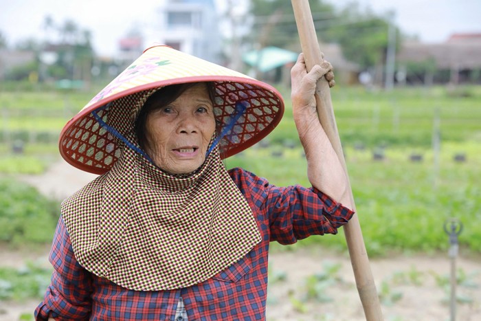 Bà Hồ Thị Lần, 72 tuổi, ở tổ 4, thôn Trà Quế, là nông dân nhiều đời, trồng rau từ năm 12 tuổi.