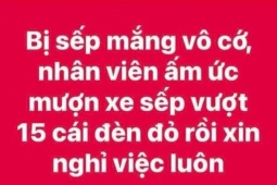 'Mượn xe của sếp vượt 15 chiếc đèn đỏ': Ai là người bị xử phạt?