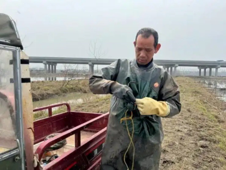 Lội bùn đào thứ ở Việt Nam có đầy, nhẹ nhàng đút túi tiền triệu/ngày - 4