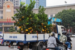 Xe ôm công nghệ “bỏ khách” dịp cận Tết để làm việc này, kiếm tiền triệu mỗi ngày