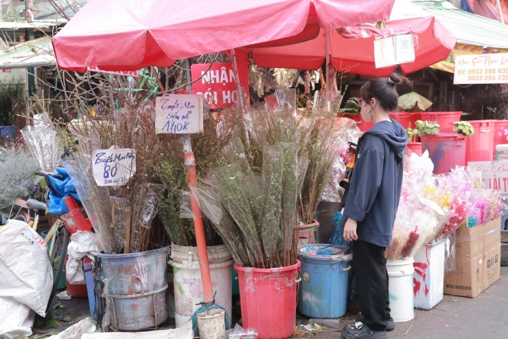 Nhiều cửa hàng trong chợ hoa Hồ Thị Kỷ bày bán tuyết mai từ sớm.