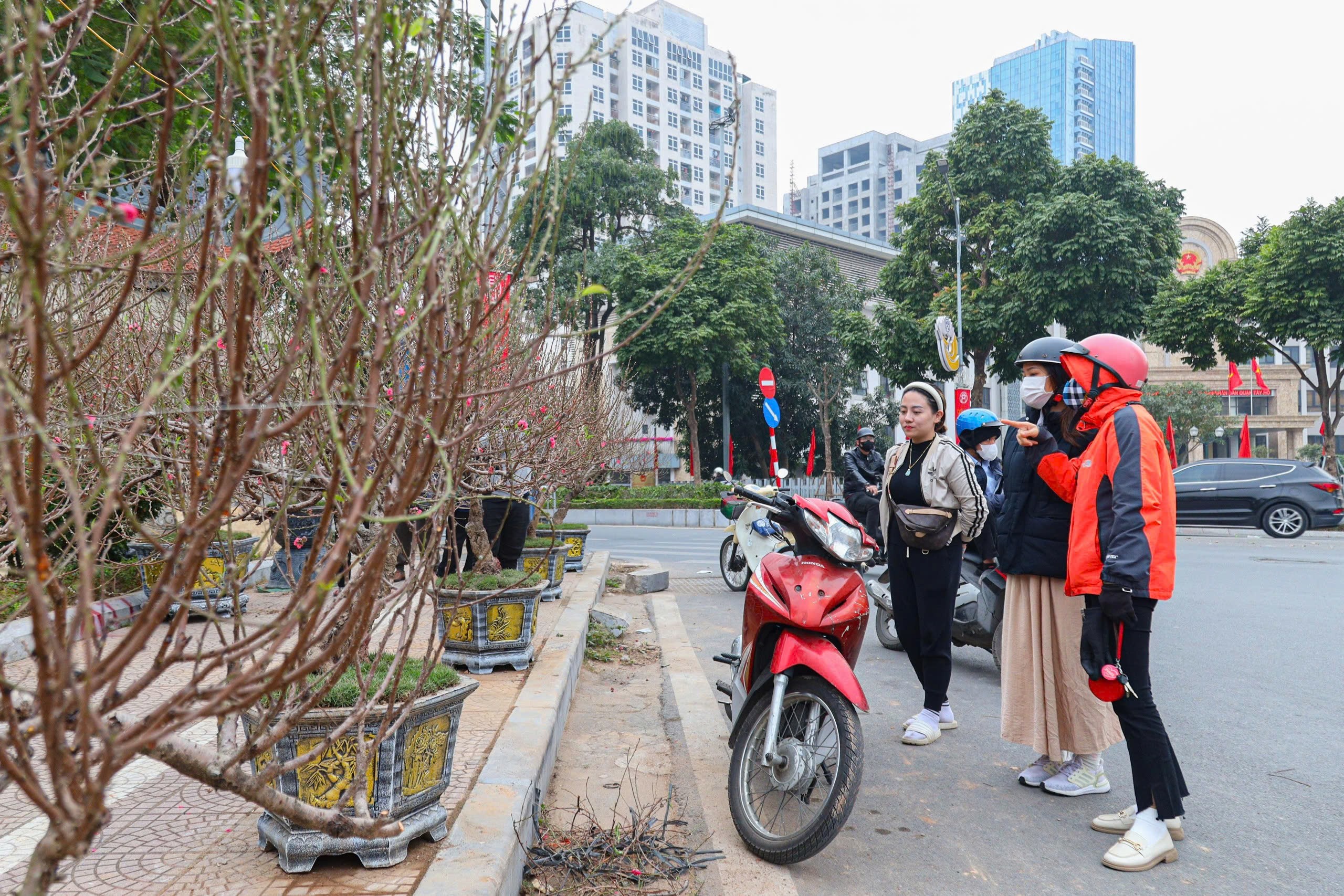 Mặc dù chỉ còn gần 10 ngày nữa là đến Tết Nguyên đán nhưng anh Công cho biết, hiện anh mới bán được khoảng 40%, chủ yếu là khách quen. Hy vọng trong vài ngày tới, sức mua sắm của người dân tăng lên, đào được bán hết để người trồng hoa đào “có Tết”.