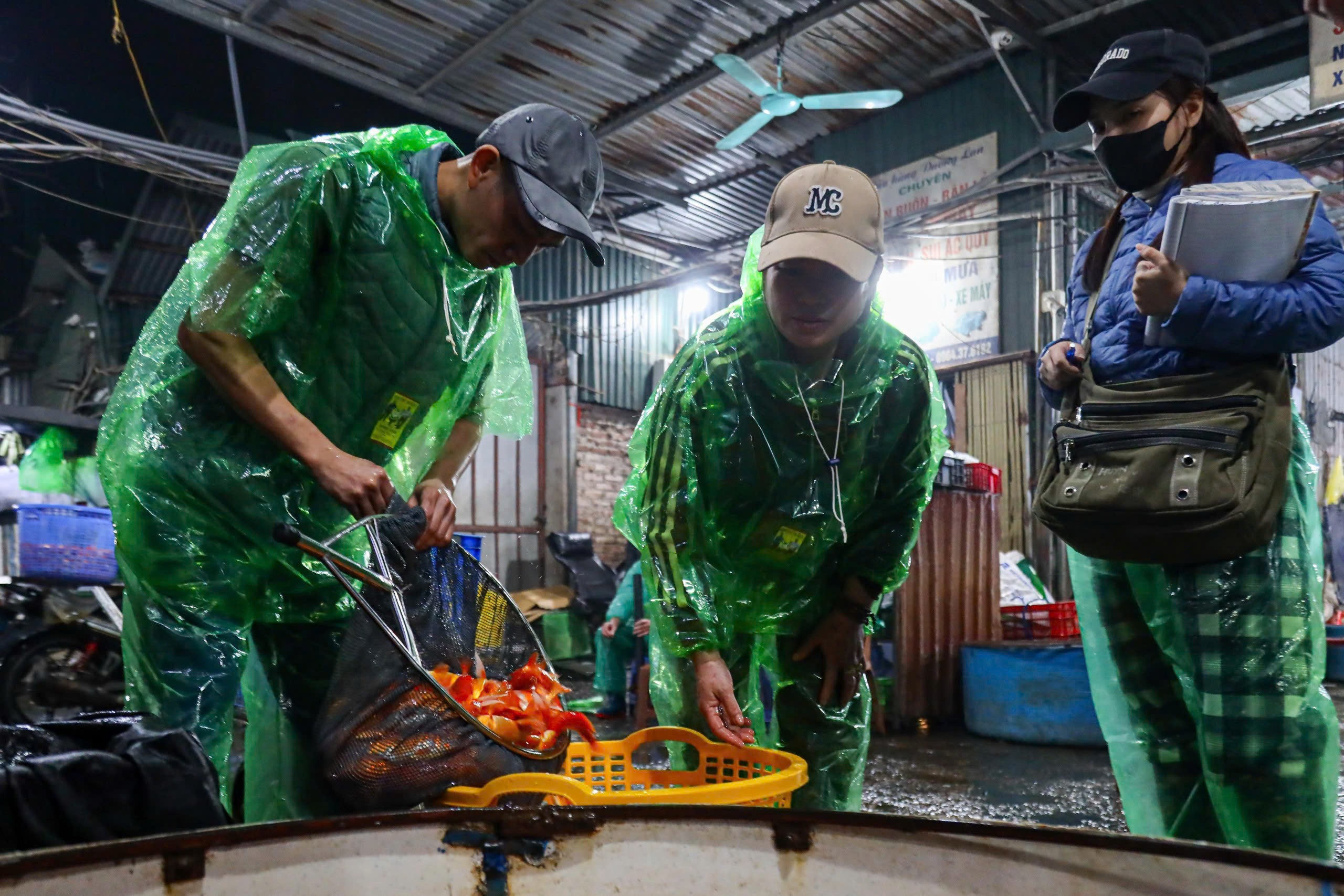 &nbsp;Giá cao nên mỗi ngày, anh Hiếu chỉ dám nhập từ 30-50kg về để bán, tránh rủi ro, ế ẩm.