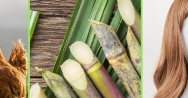 Tặng mía, tóc giả, gà vịt làm quà Tết cho nhân viên