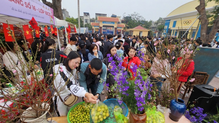 Phiên chợ Xuân độc đáo ở trường THPT Lê Quý Đôn, Hải Phòng với sự vận hành của chính học sinh.