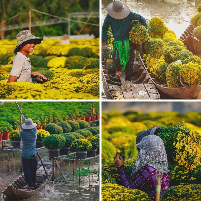 Người nông dân làm việc tại vườn hoa. (Ảnh: Vinh Gấu)