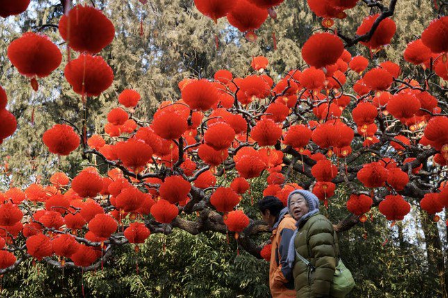 Cây được trang trí đèn lồng trong công viên ở Bắc Kinh. (Ảnh: Reuters)