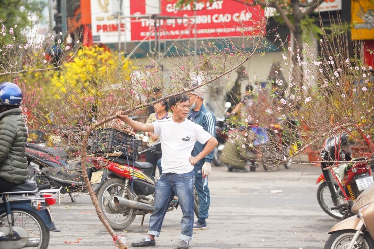 Ngày đầu kỳ nghỉ Tết Nguyên đán, người dân hồ hởi xuống phố &#39;săn&#39; đào, quất - 4