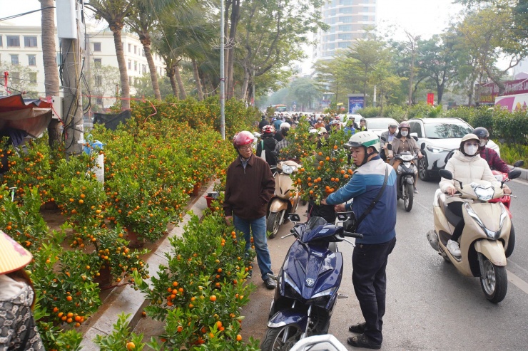 Ngày đầu kỳ nghỉ Tết Nguyên đán, người dân hồ hởi xuống phố &#39;săn&#39; đào, quất - 14