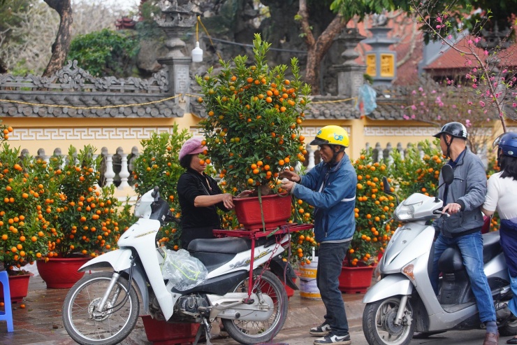 Ngày đầu kỳ nghỉ Tết Nguyên đán, người dân hồ hởi xuống phố &#39;săn&#39; đào, quất - 13