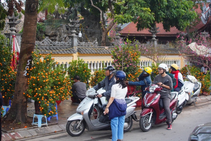 Ngày đầu kỳ nghỉ Tết Nguyên đán, người dân hồ hởi xuống phố &#39;săn&#39; đào, quất - 12