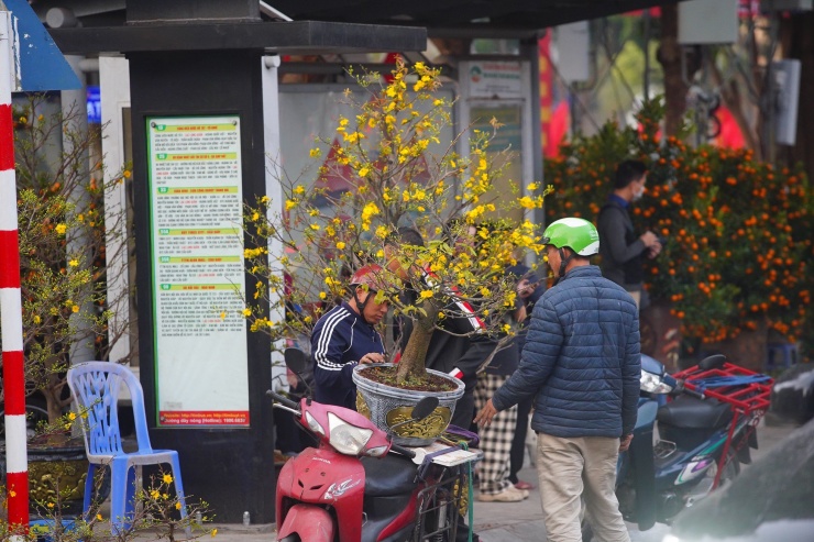 Ngày đầu kỳ nghỉ Tết Nguyên đán, người dân hồ hởi xuống phố &#39;săn&#39; đào, quất - 17