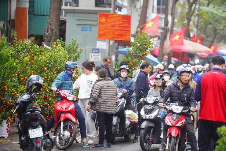 Ngày đầu kỳ nghỉ Tết Nguyên đán, người dân hồ hởi xuống phố &#39;săn&#39; đào, quất - 1