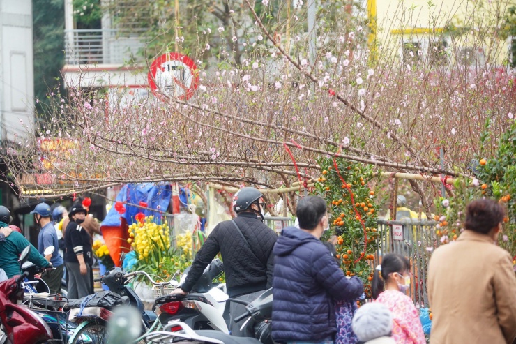 Ngày đầu kỳ nghỉ Tết Nguyên đán, người dân hồ hởi xuống phố &#39;săn&#39; đào, quất - 4