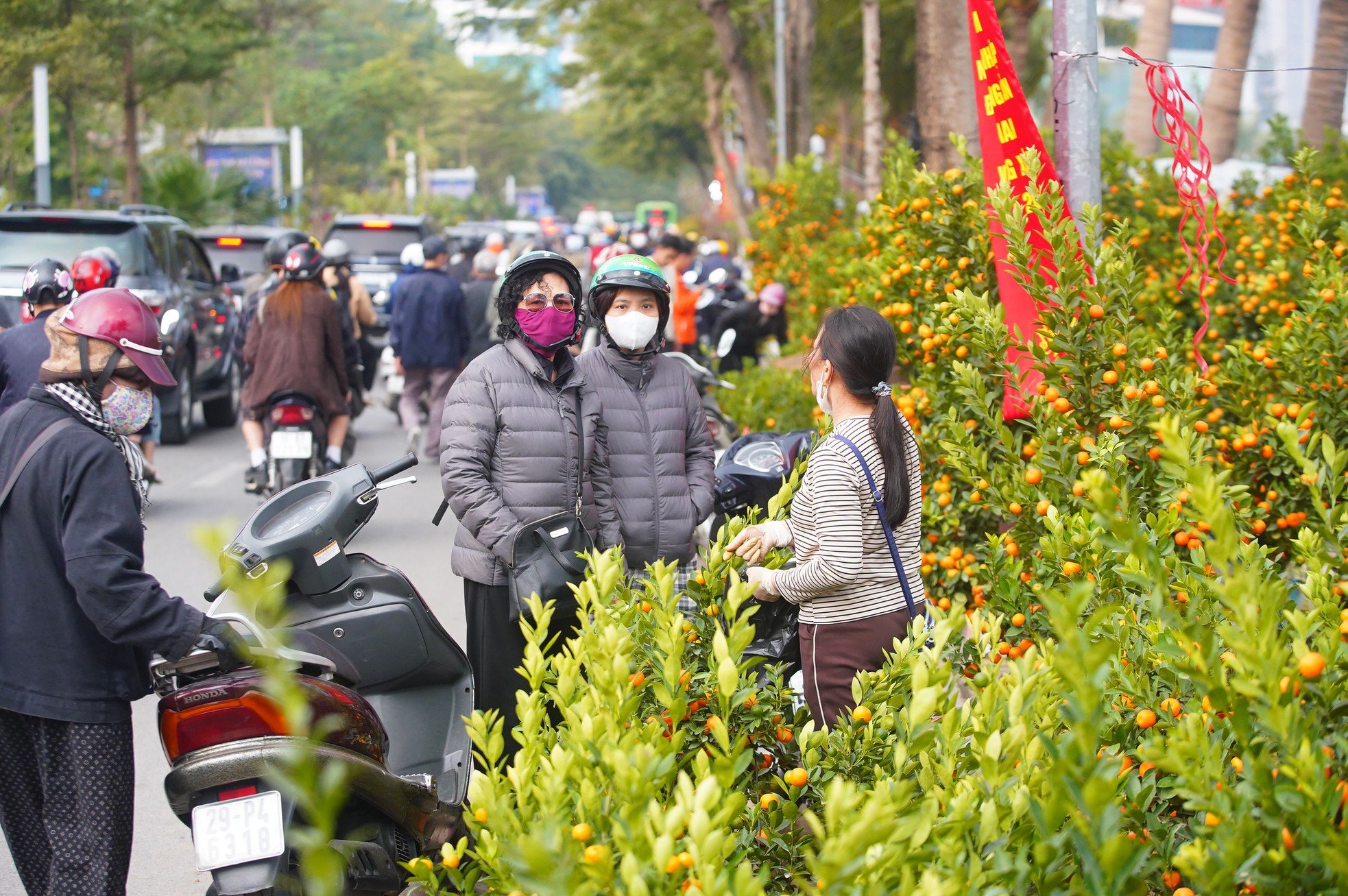 Ngày đầu kỳ nghỉ Tết Nguyên đán, người dân hồ hởi xuống phố &#39;săn&#39; đào, quất - 15