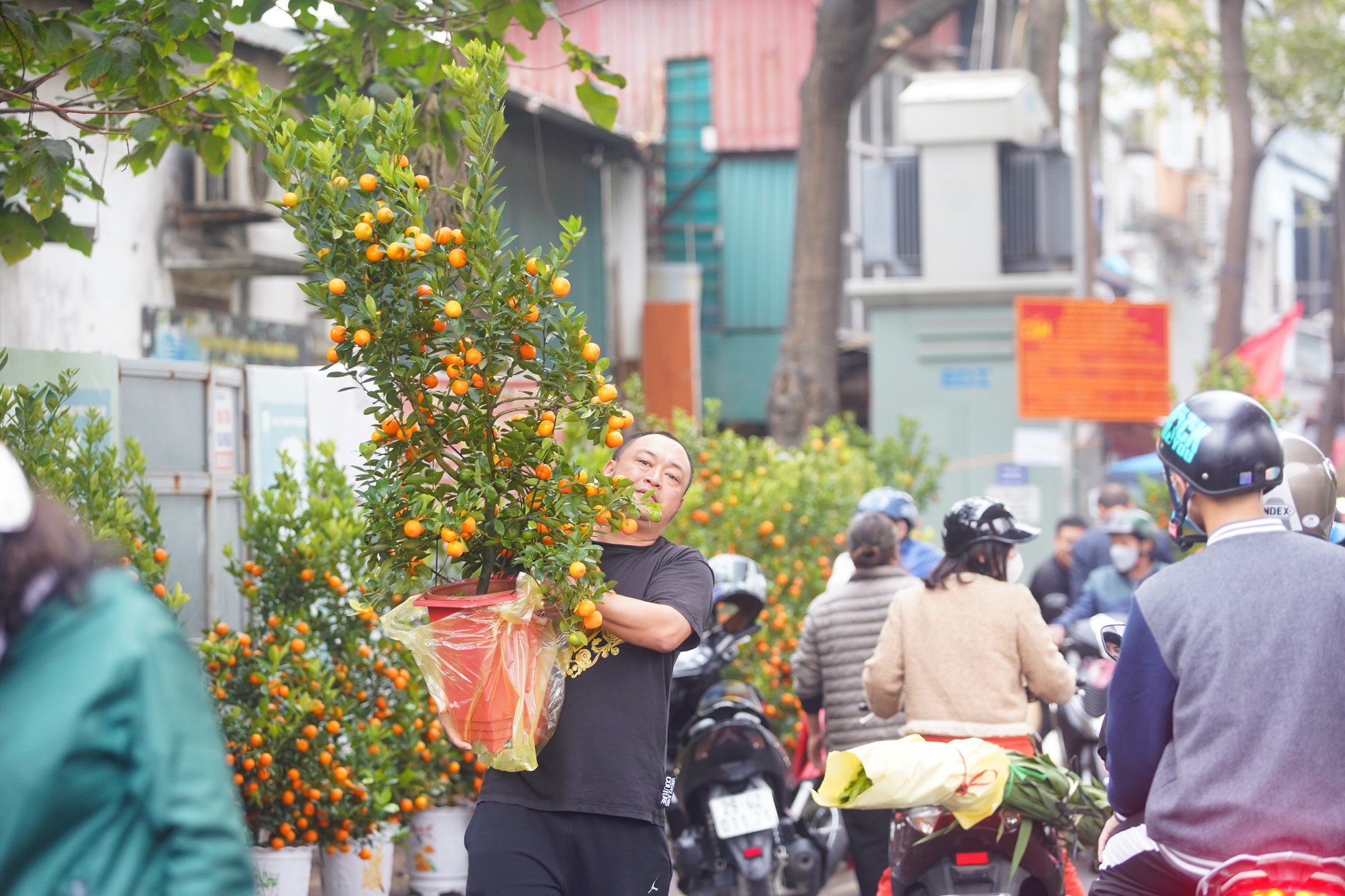 Ngày đầu kỳ nghỉ Tết Nguyên đán, người dân hồ hởi xuống phố &#39;săn&#39; đào, quất - 3