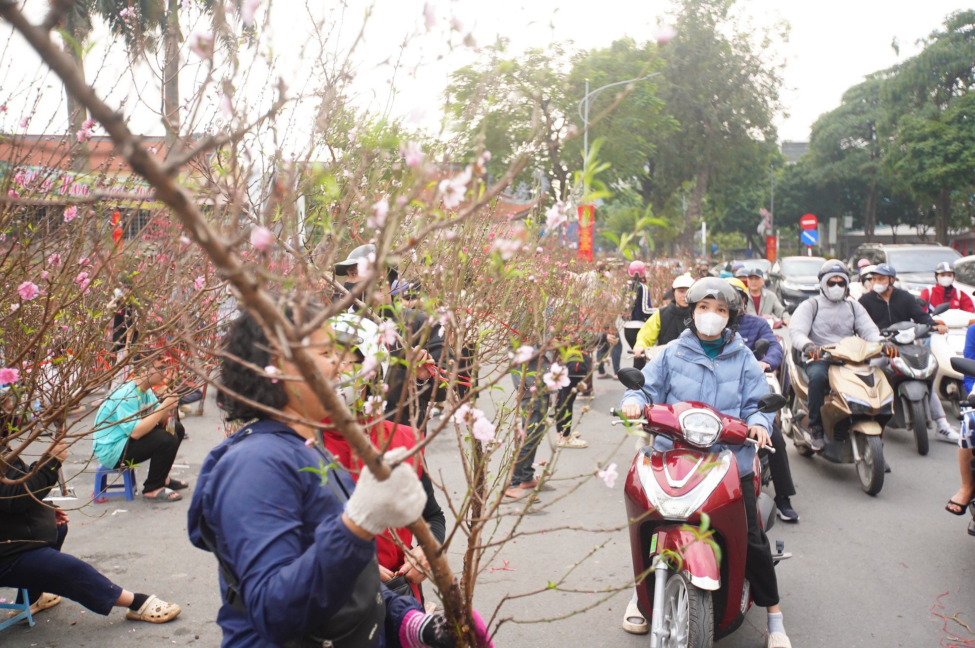 Ngày đầu kỳ nghỉ Tết Nguyên đán, người dân hồ hởi xuống phố &#39;săn&#39; đào, quất - 8