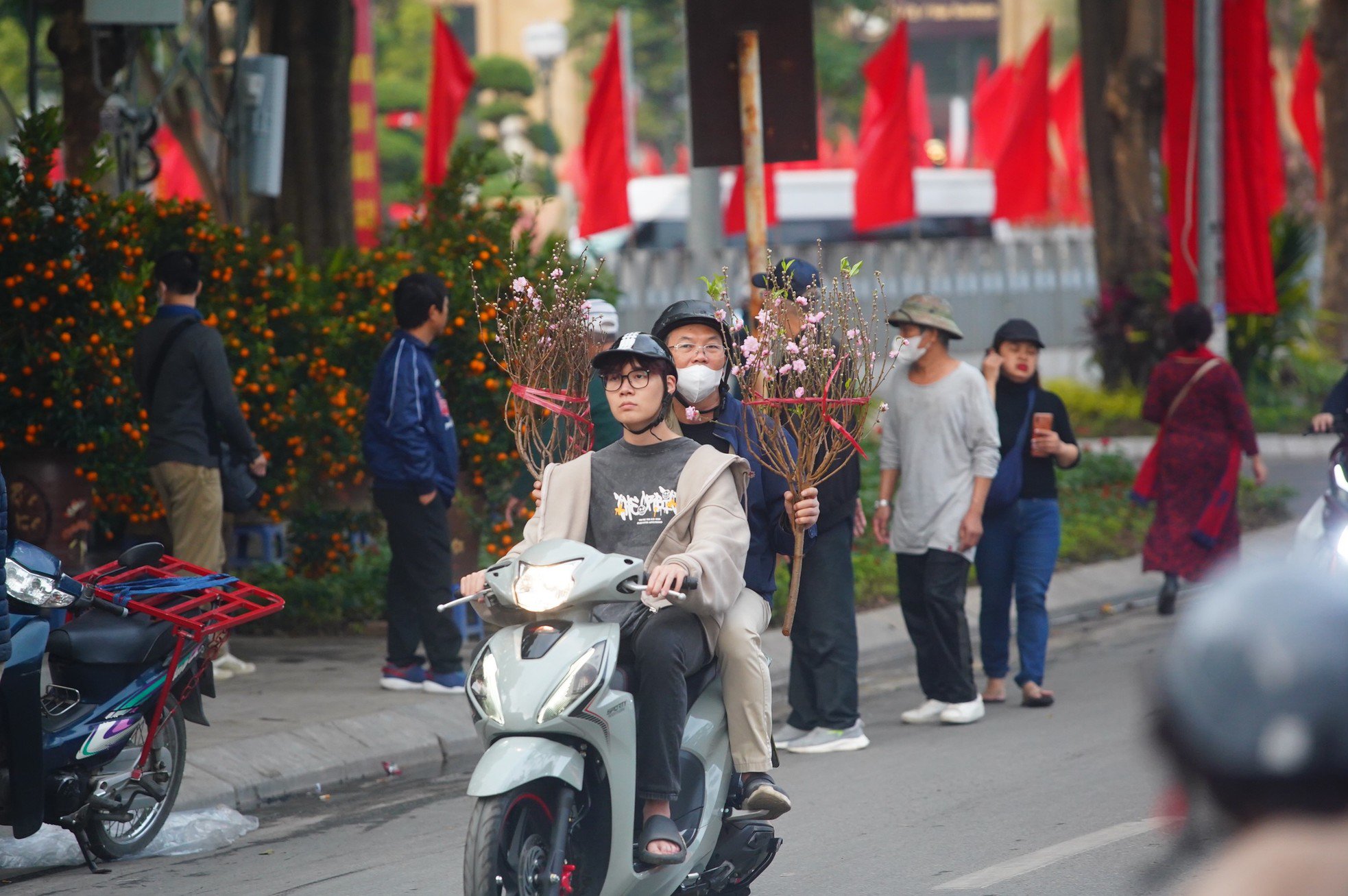 Ngày đầu kỳ nghỉ Tết Nguyên đán, người dân hồ hởi xuống phố &#39;săn&#39; đào, quất - 19