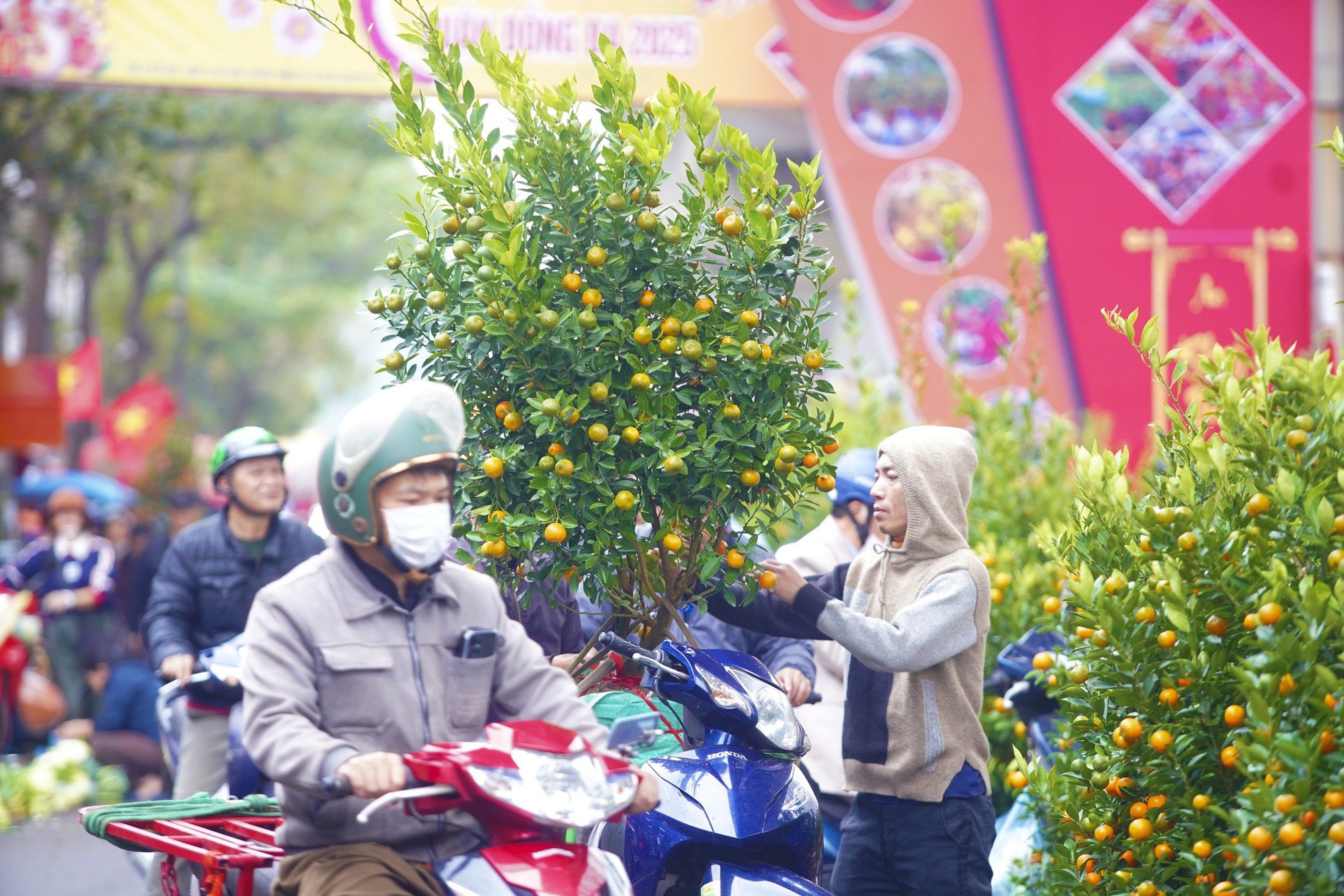 Ngày đầu kỳ nghỉ Tết Nguyên đán, người dân hồ hởi xuống phố &#39;săn&#39; đào, quất - 2