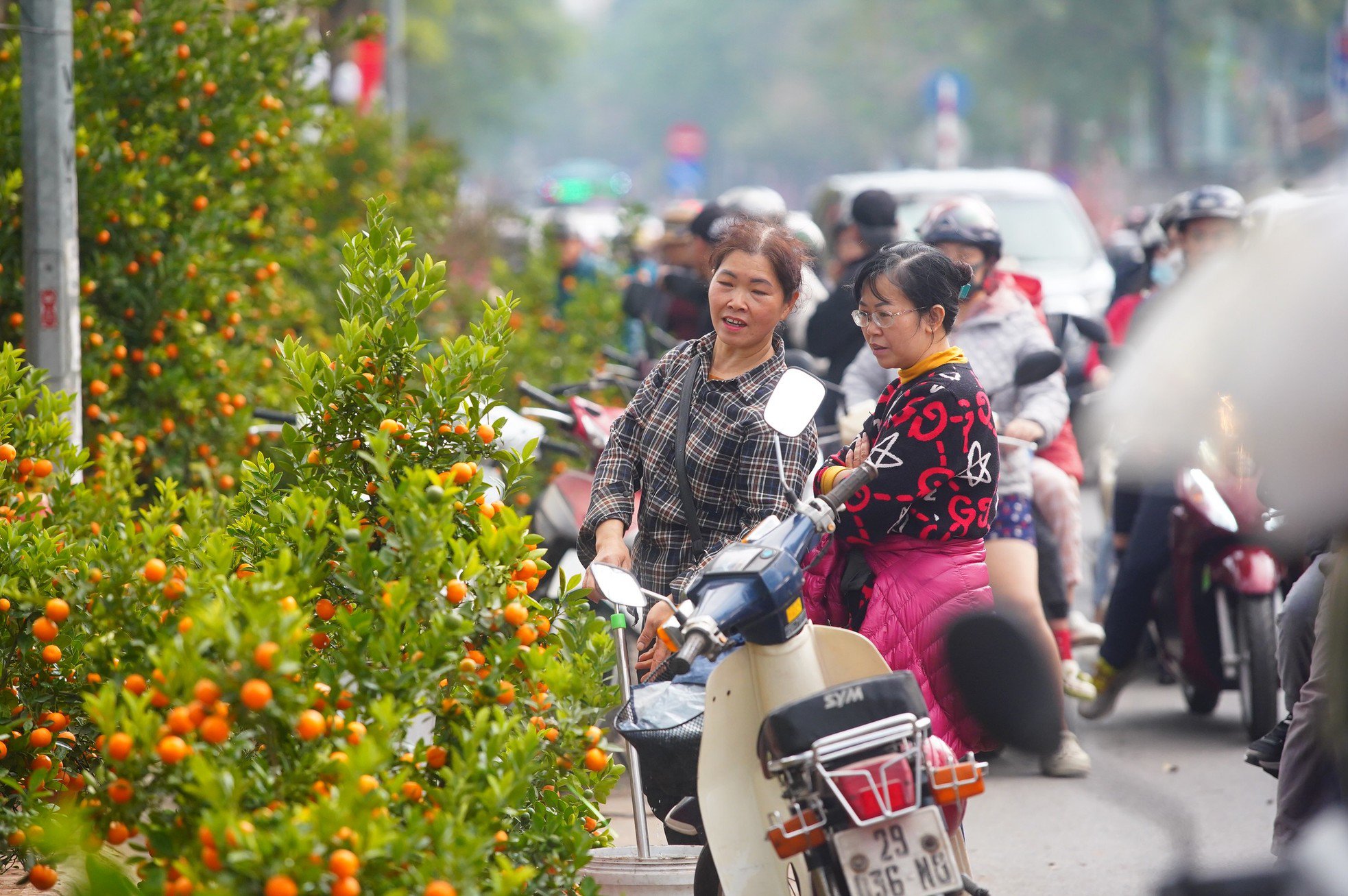 Ngày đầu kỳ nghỉ Tết Nguyên đán, người dân hồ hởi xuống phố &#39;săn&#39; đào, quất - 16